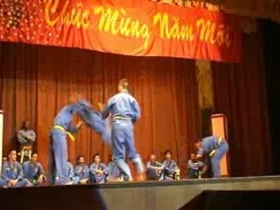 Vovinam Tu Dâu Palaiseau 2008