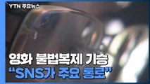 영화 불법복제 기승...