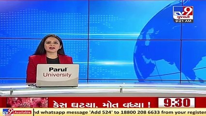Honey bee swarm attacks 3 brothers of Junagadh's village, out of danger after treatment _ TV9News