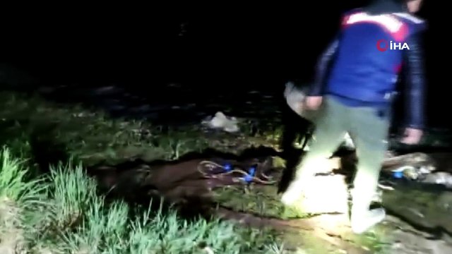 Van Gölü'nde kaçak avlanan 3.5 ton inci kefali ele geçirildi