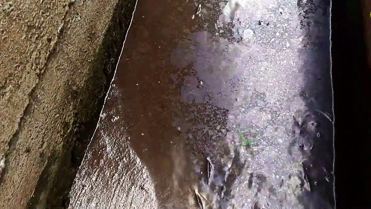 Panen Udang Tik-Tok Sungai Mantul