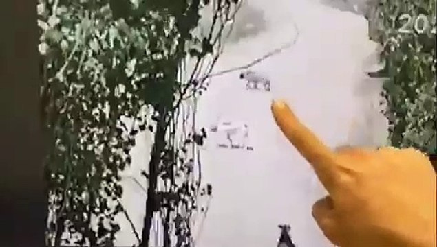 Ankara'da kan donduran olay! Yeni doğum yapmış köpeğe dakikalarca cinsel istismarda bulundu