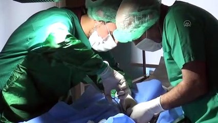 BİTLİS - Kuyuya düşerek ayağı kırılan kediye cerrahi müdahale