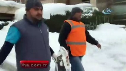 40 köpek donmaktan kurtarıldı