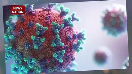 अगर आप हवाई यात्रा करते हैं तो जान लीजिए किन देशों ने भारतीय उड़ानों पर लगाई हुई है रोक