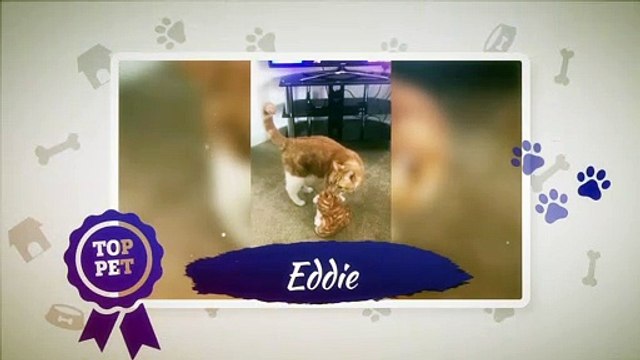 Pet Idol - Peterborough Telegraph