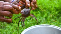 Nandu Rasam Recipe | How to make crab soup | Nattu Nandu Rasam | Nandu rasam in tamil