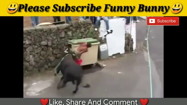 Best funny videos 2021 Most awesome bullfighting festival funny crazy bull fails ( 720 X 1280 )