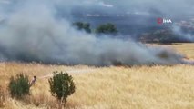 Kuzey Kıbrıs Türk Cumhuriyeti'nde Dikmen ve Taşkent arasında bulunan arazide yangın çıktı. Alevlere müdahale sürüyor.