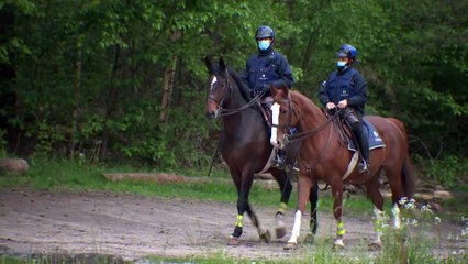 Quinto dia de caça ao homem na Bélgica