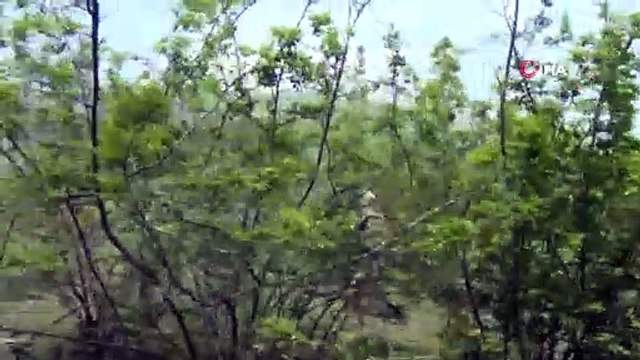 - Türkiye ve Azerbaycan askerlerinden ortak askeri tatbikat