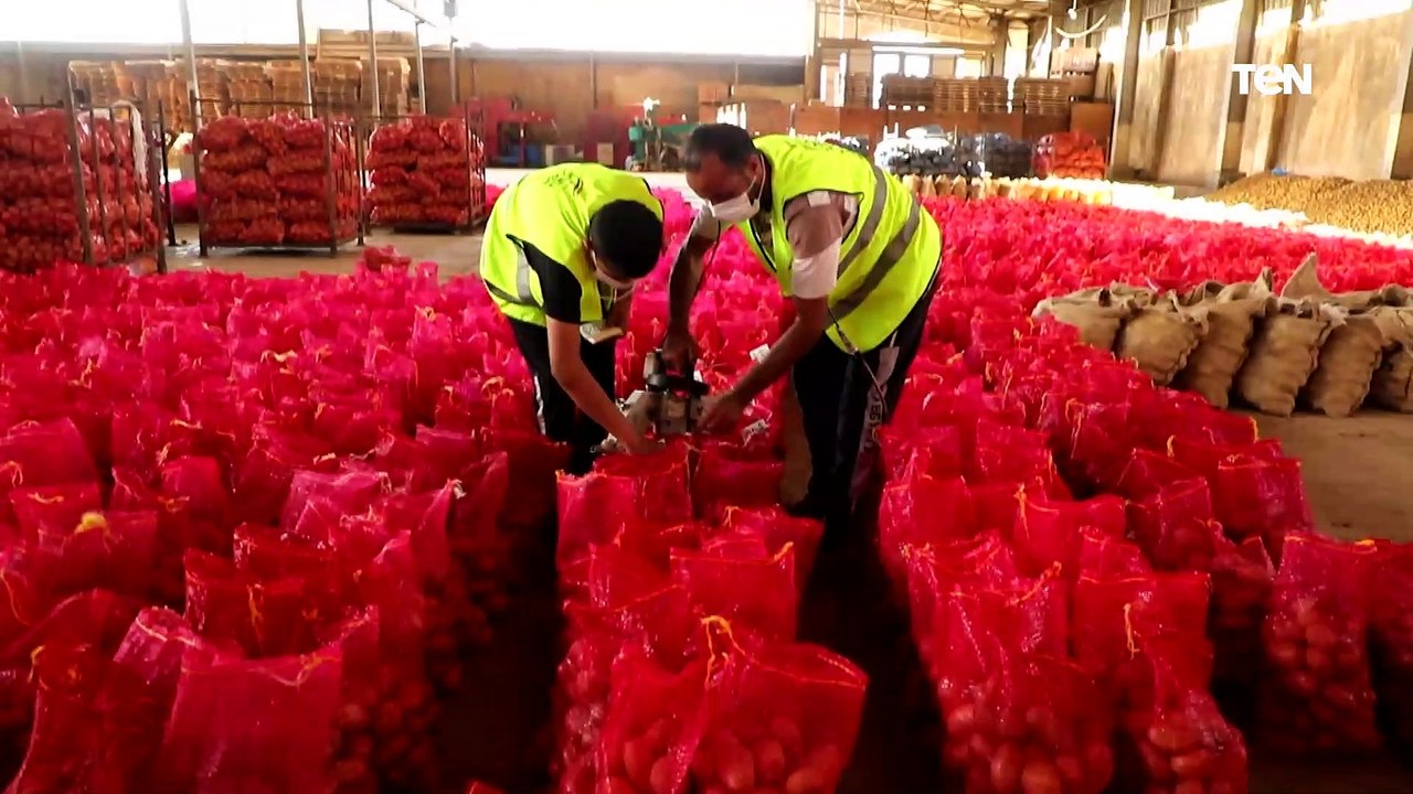 قافلة صندوق تحيا مصر في اتجاهها لقطاع غزة لدعم الأشقاء الفلسطينيين