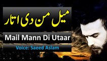 Mail Mann Di Utaar By Saeed Aslam | Punjabi Poetry WhatsApp status | Poetry status | Poetry TikTok