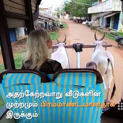 This Is All You Need To Know About Chettinadu Sculpture