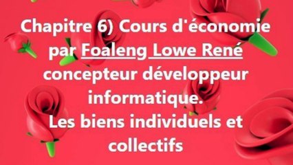 Cours d'économie générale. Chapitre 6) Les biens individuels et collectifs