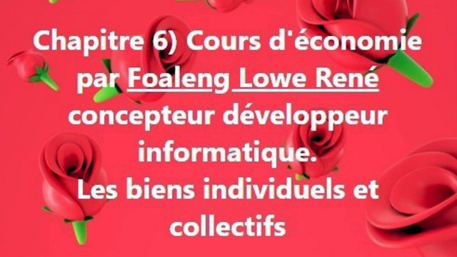 Cours d'économie générale. Chapitre 6) Les biens individuels et collectifs
