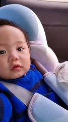 Jebudo in South Korea 