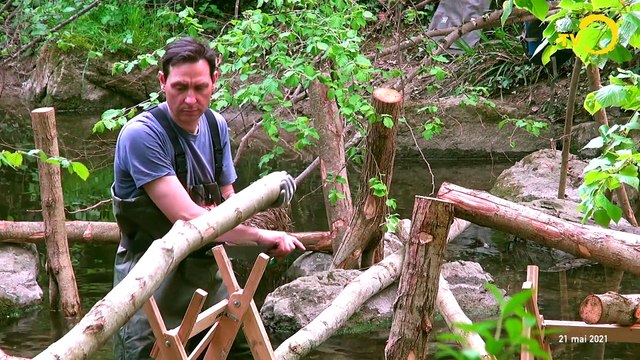 Sans commentaire: oeuvre ouvrage