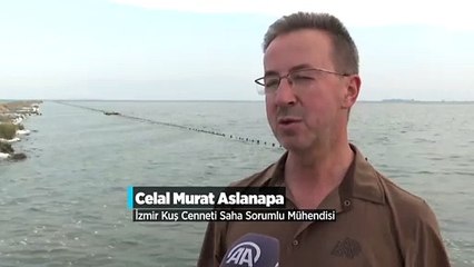 Türkiye'nin 'Flamingo adası'