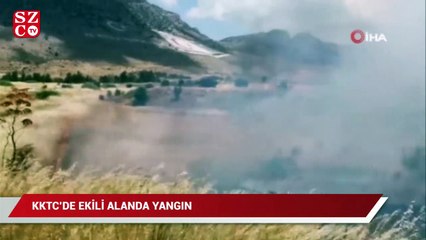 下载视频: KKTC'de ekili alanda yangın: bin dönüme yakın arazi küle döndü