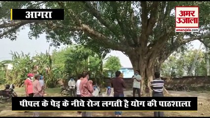 आगरा: ग्रामीणों ने पीपल के पेड़ पर डाली खाट, नीचे रोज लगती है योग की पाठशाला