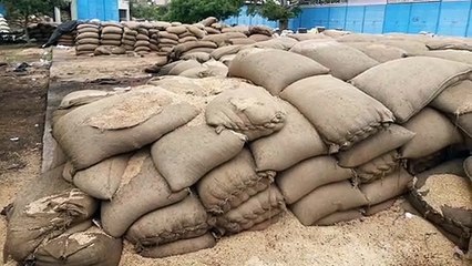 भीगकर खराब हुई जिन्सों की बोरियां, बेपरवाह मण्डी प्रशासन