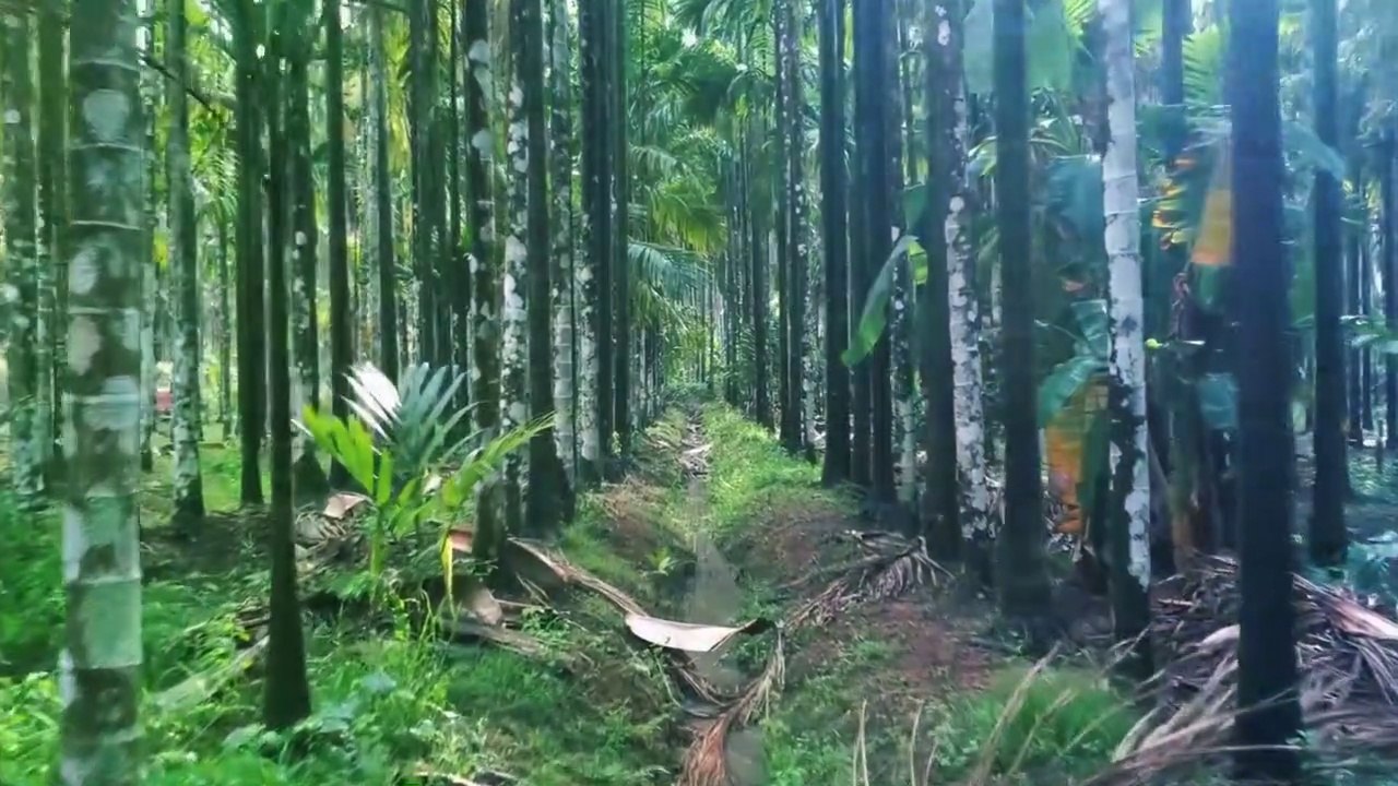 10 Minute  Deep Meditation Music :-The Deepest Healing Music, Relax Mind Body