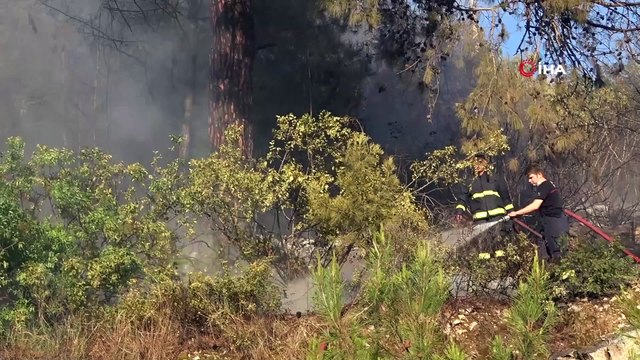 Alanya'da çıkan yangın yerleşim yerlerine sıçramadan söndürüldü