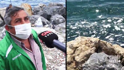 İstanbul'da sadece 2 plaj mavi bayrak alabildi