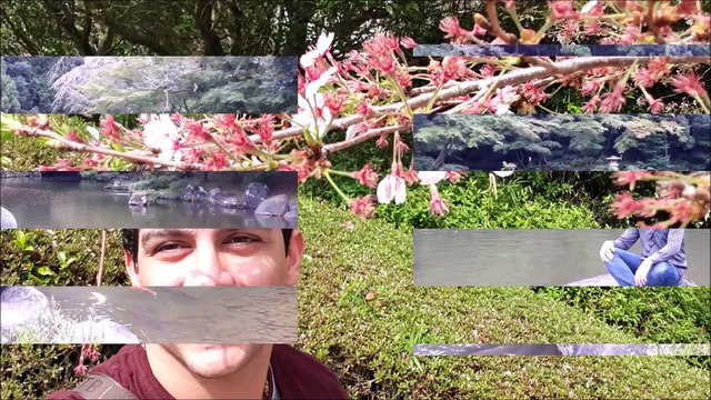 The surge Atlantis | The Surge Master Blaster | water slide | Aquaventure Atlantis Dubai