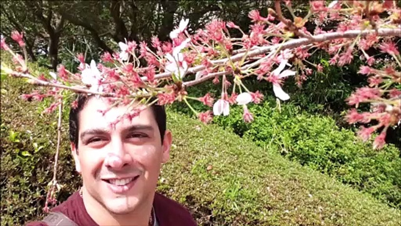 Shark attack Atlantis | Shark Attack | Waterslide Ride | Aquaventure Waterpark Dubai | Atlantis Water Park