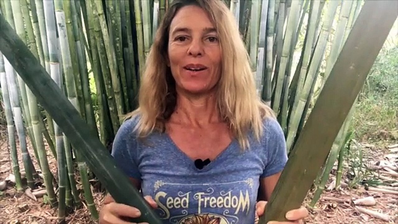 Bamboo Building - Knots And Lashings - Without Nails