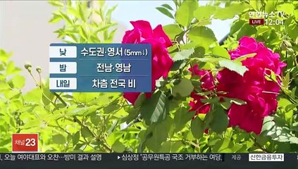 [날씨] 낮 동안 수도권, 영서 비 조금…내일 전국 확대