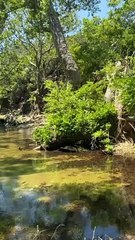 Survivor : Η σύντροφος του Μπόγδανου κάνει διακοπές στο ξενοδοχείο της Μενεγάκη κα του Παντζόπουλου