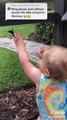 Toddler Catches Lizard But Throws It And Screams As Mother Shouts Worriedly