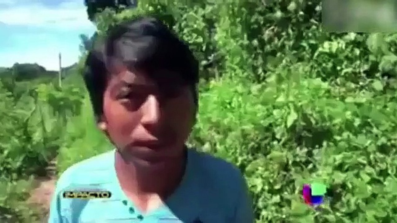 Tam 26 parmağı var!