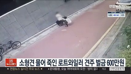 소형견 물어 죽인 로트와일러 견주에 벌금 600만원