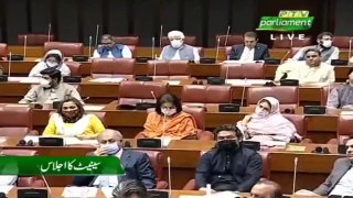 FM Shah Mehmood Qureshi Ka Senate Assembly Mein Khattab | Hum Hmesha Palestine Kay Sath Hein