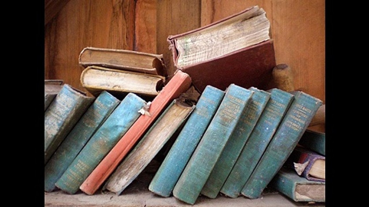 Giulio Andreetta, Guida all'ascolto L. Janáček Sonata 1.X