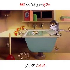من الصعب على القط أن يقاتل ضد جيش الفئران بأكمله على أي حال  مصدر-Funny Videos