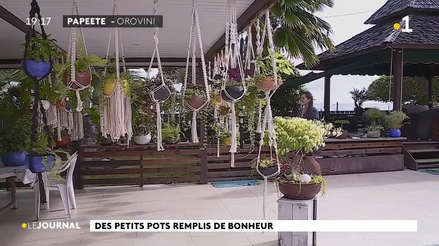 Des petits pots remplis de bonheur