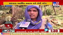 Bhavnagar_ Coconut trees severely damaged due to cyclone Tauktae _ TV9News