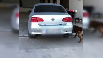 Sınır Kapısı'nda uyuşturucu operasyonu