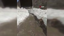 Kar kalınlığının 4 metreyi bulduğu yayla yolu açıldı