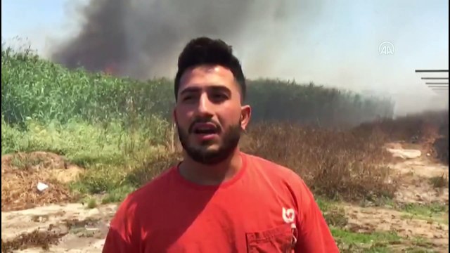 ANTALYA - Yerleşim yeri ve seralara yakın sazlık alanda çıkan yangın kontrol altına alınmaya çalışılıyor