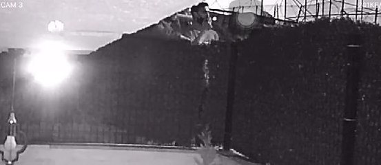 Son dakika haberi | SULTANGAZİ'DE NARGİLE HIRSIZLARI KAMERADA