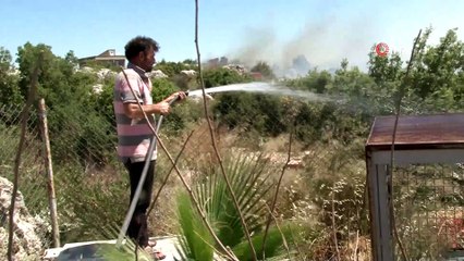 Antalya'da makilik alandaki yangın