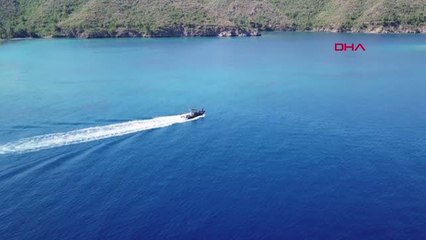 MUĞLA MARMARİS BONCUK KOYU'NDAKİ KUM KÖPEKBALIKLARININ KAMERAYLA TAKİBİNE BAŞLANDI