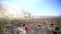 Son dakika haberleri | Yerleşim yeri ve seralara yakın sazlık alanda çıkan yangın kontrol altına alındı