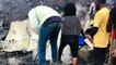 RDC: éruption du volcan Nyiragongo, la lave s'immobilise aux portes de Goma